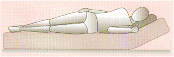 リラックスマットレス　横向きに寝た場合の姿勢図