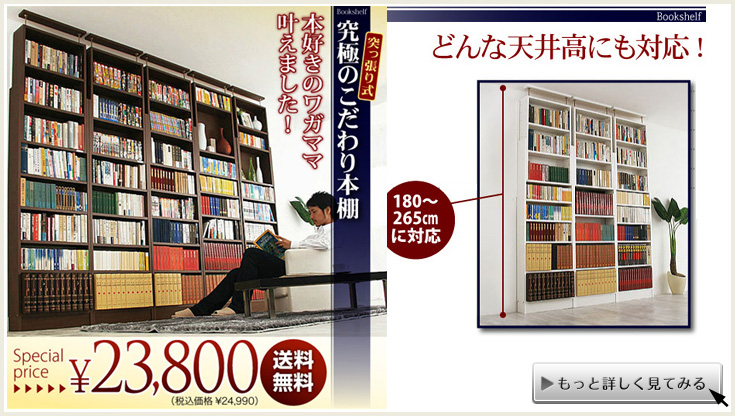 書棚特集