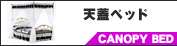 �V�W�x�b�h