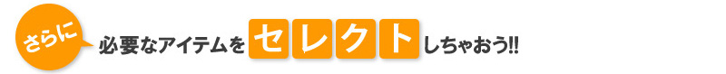 さらに必要なアイテムをセレクトしちゃおう!!