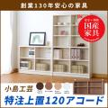 【小島工芸】特注上置「アコード120　Cタイプ」