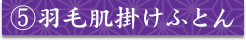 ⑤羽毛肌掛けふとん