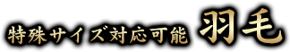 特殊サイズ対応可能 羽毛
