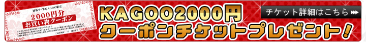 ご購入のお客様に2000円クーポンチケットプレゼント