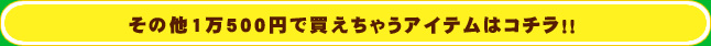 その他1万500円で買えちゃうアイテムはコチラ