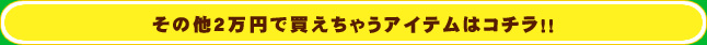 その他1万500円で買えちゃうアイテムはコチラ