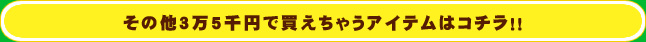 その他３万5000円で買えちゃうアイテムはコチラ