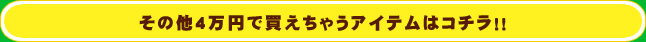 その他4万円で買えちゃうアイテムはコチラ