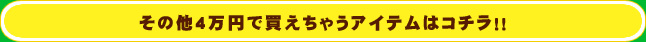 その他4万円で買えちゃうアイテムはコチラ