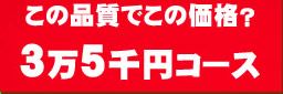 ３万５０００円コース