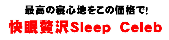 最高の寝心地をこの価格で！快眠贅沢スリープセレブ