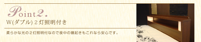 point2　Ｗダブル２灯照明付き