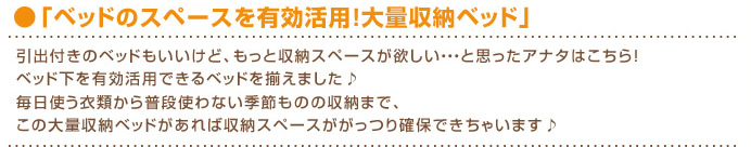 大量収納ベッドでスペースを有効活用