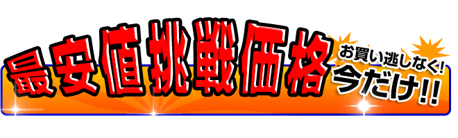 最安価挑戦価格実施中