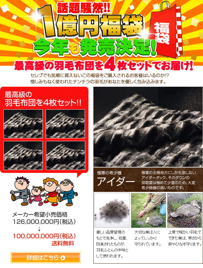 一億円福袋　羽毛布団４枚セット