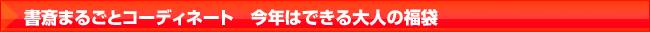 今年はできる大人の福袋