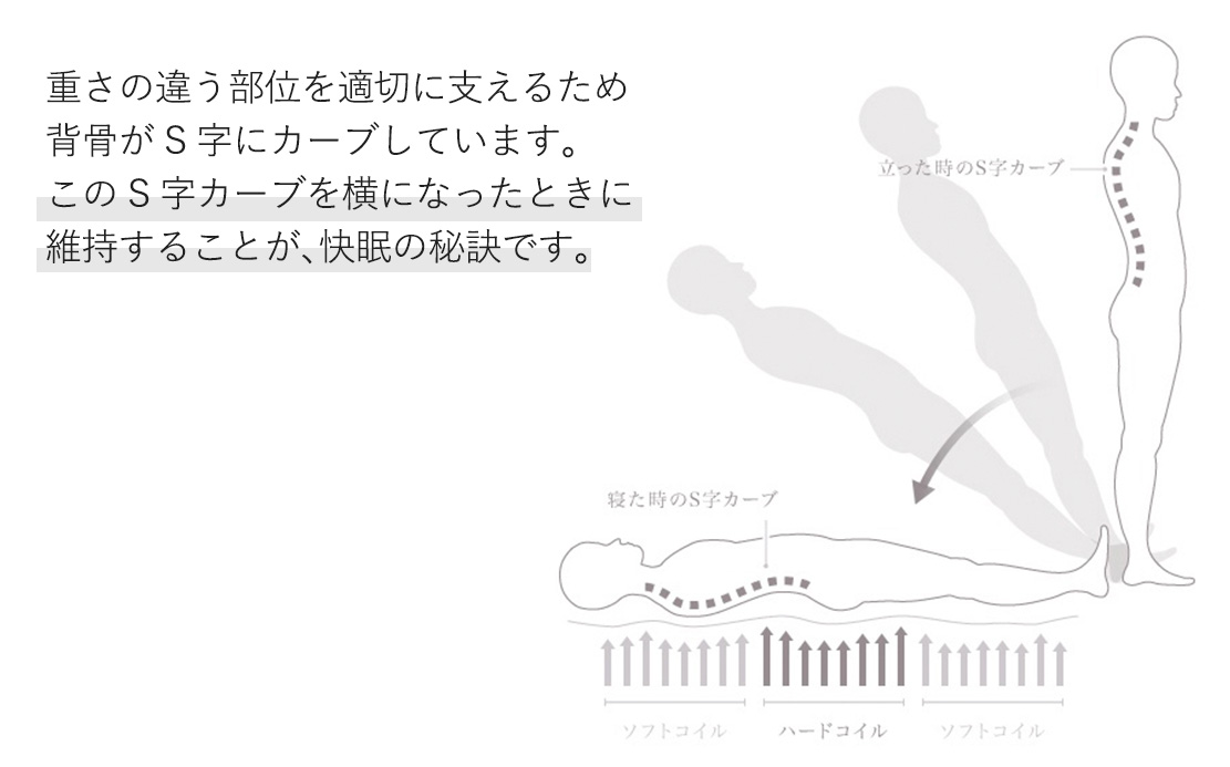 理想の寝姿勢図