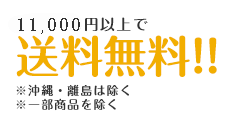 11,00円以上で送料無料！！※沖縄・離島は除く※一部商品を除く