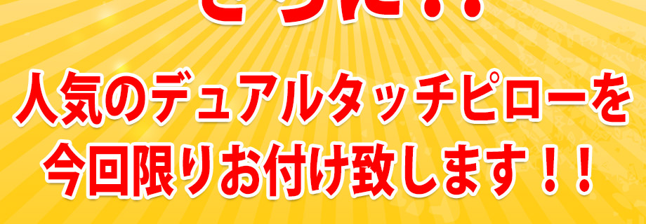 今回限りの付属商品