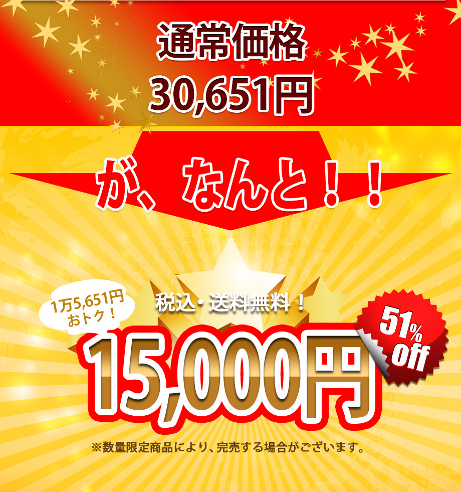 通常価格30,651円が51%offの15,000円