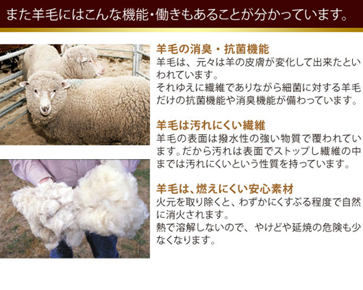 羊毛には色々な機能や働きがあります