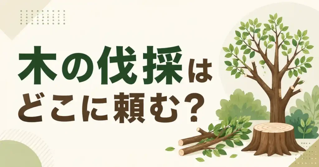 【結論】木の伐採はどこに頼む？迷ったら現地見積もりを3社で比べる